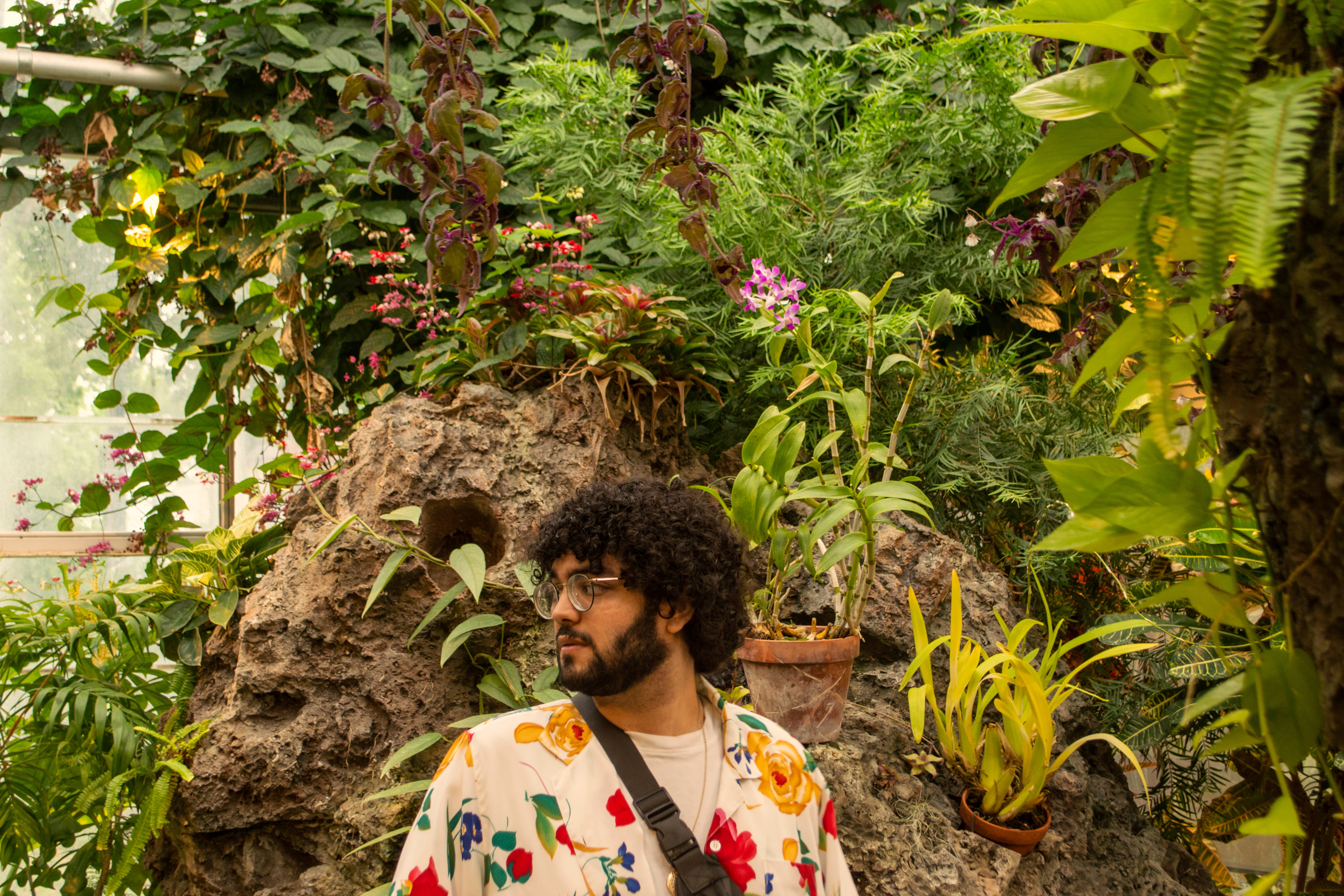 Butterfly Conservatory 2